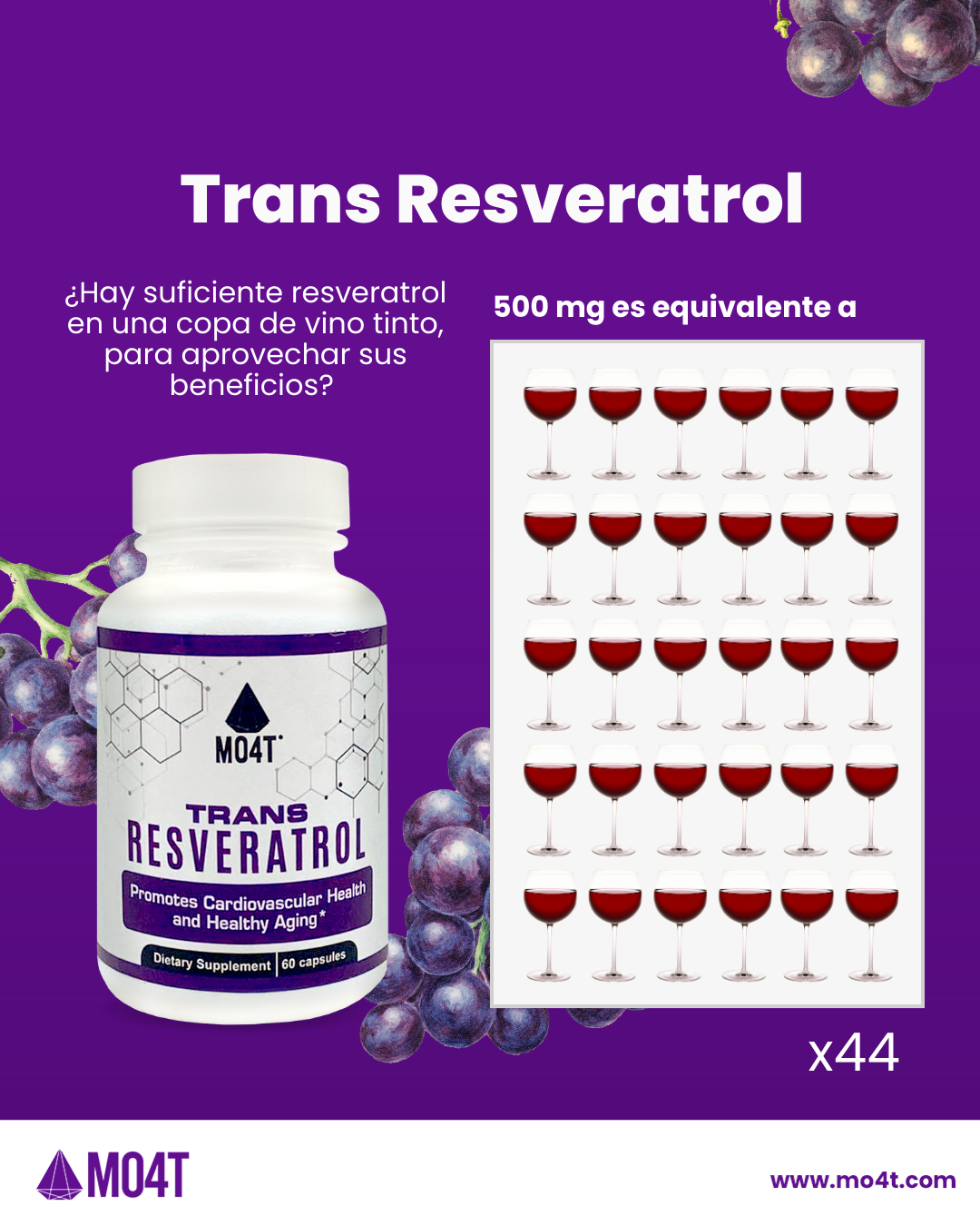 TRANS RESVERATROL - Protección anti-oxidante